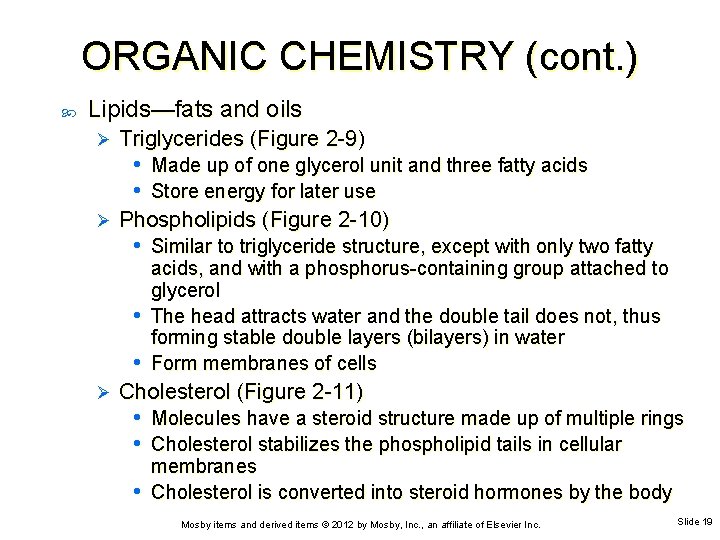 ORGANIC CHEMISTRY (cont. ) Lipids—fats and oils Ø Triglycerides (Figure 2 -9) • Made