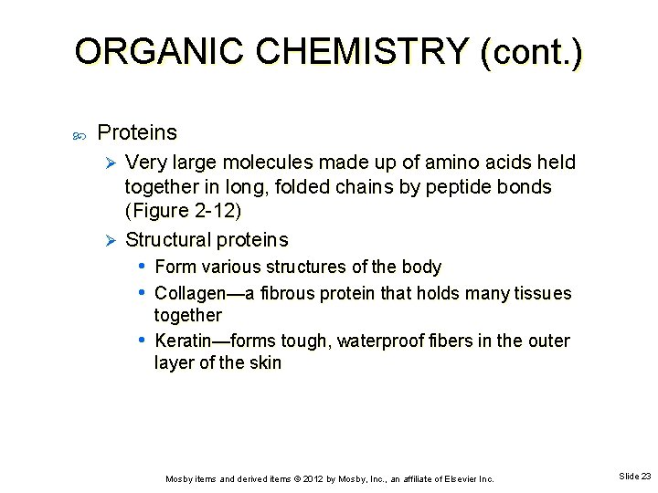 ORGANIC CHEMISTRY (cont. ) Proteins Very large molecules made up of amino acids held