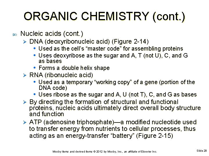 ORGANIC CHEMISTRY (cont. ) Nucleic acids (cont. ) Ø DNA (deoxyribonucleic acid) (Figure 2