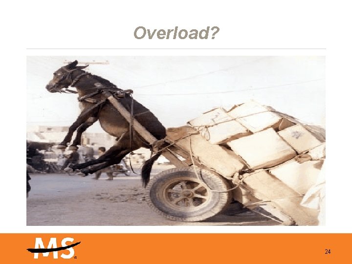 Overload? 24 