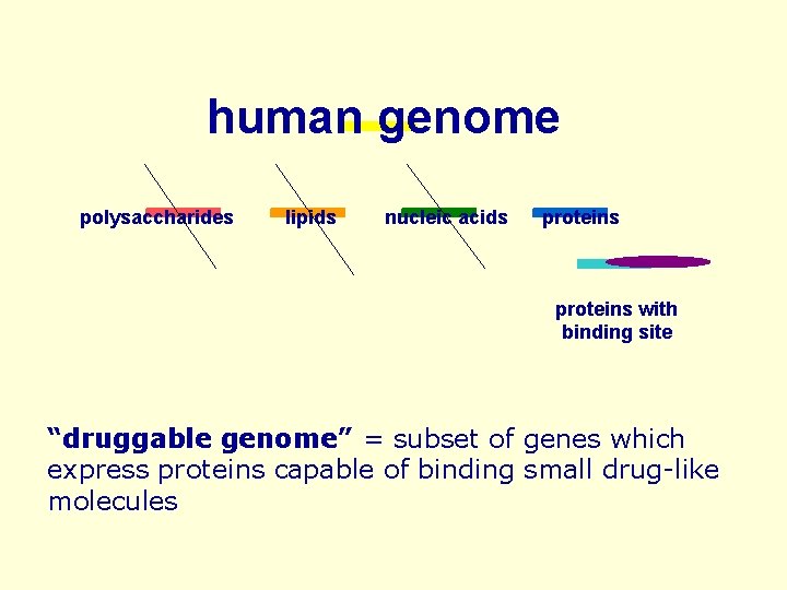 human genome polysaccharides lipids nucleic acids proteins with binding site “druggable genome” = subset