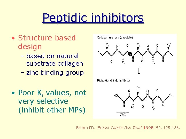 Peptidic inhibitors • Structure based design – based on natural substrate collagen – zinc