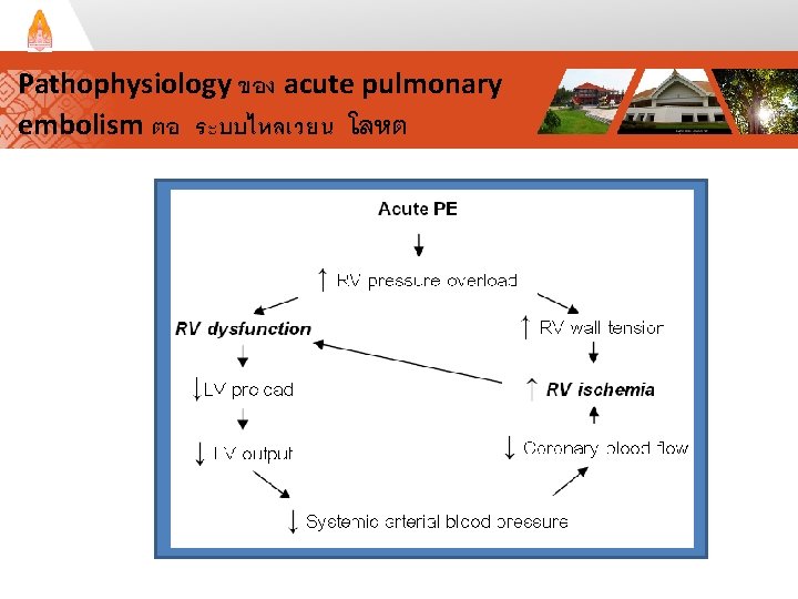 Pathophysiology ของ acute pulmonary embolism ตอ ระบบไหลเวยน โลหต 