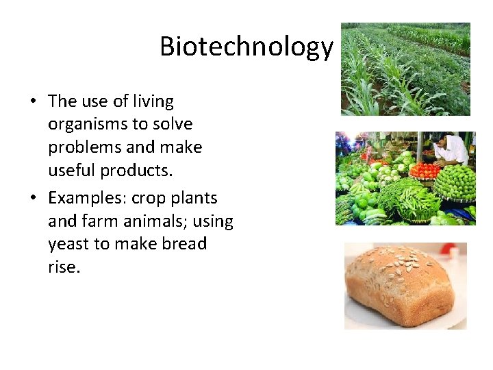 Biotechnology • The use of living organisms to solve problems and make useful products.