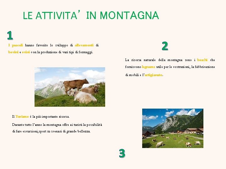 LE ATTIVITA’ IN MONTAGNA 1 2 I pascoli hanno favorito lo sviluppo di allevamenti