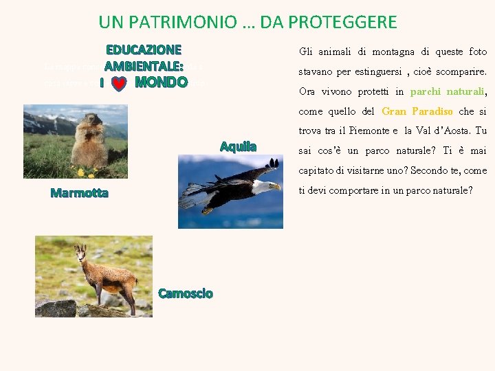 UN PATRIMONIO … DA PROTEGGERE EDUCAZIONE La mappa concettuale ti aiuterà a ri corda