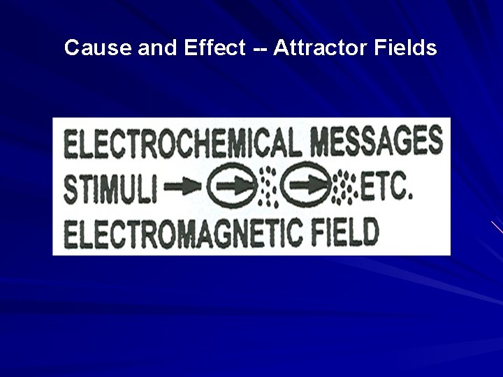 Cause and Effect -- Attractor Fields 