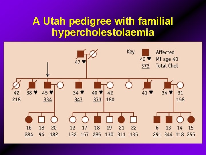 A Utah pedigree with familial hypercholestolaemia 