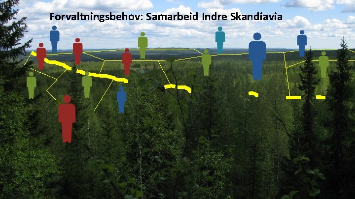 Forvaltningsbehov: Samarbeid Indre Skandiavia 