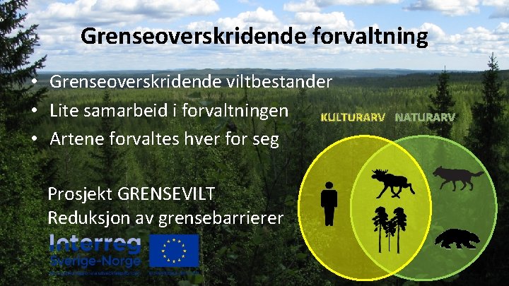 Grenseoverskridende forvaltning • Grenseoverskridende viltbestander • Lite samarbeid i forvaltningen KULTURARV • Artene forvaltes