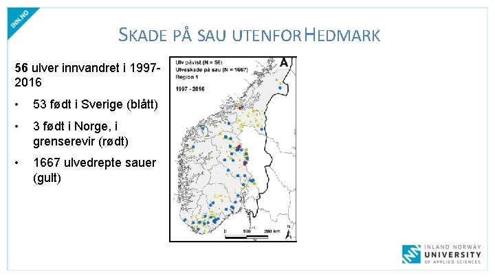 SKADE PÅ SAU UTENFOR HEDMARK 56 ulver innvandret i 19972016 • 53 født i