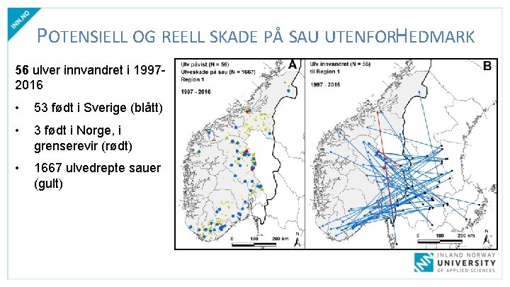 POTENSIELL OG REELL SKADE PÅ SAU UTENFORHEDMARK 56 ulver innvandret i 19972016 • 53