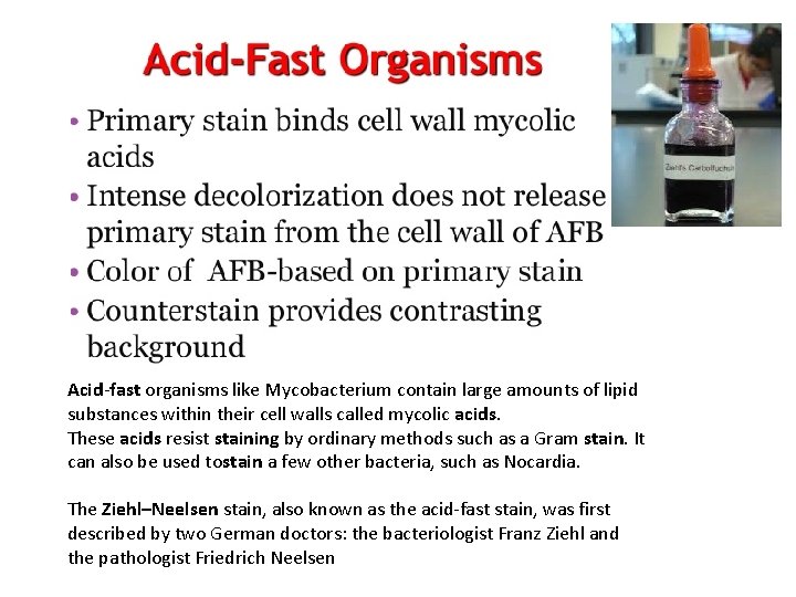 Acid-fast organisms like Mycobacterium contain large amounts of lipid substances within their cell walls