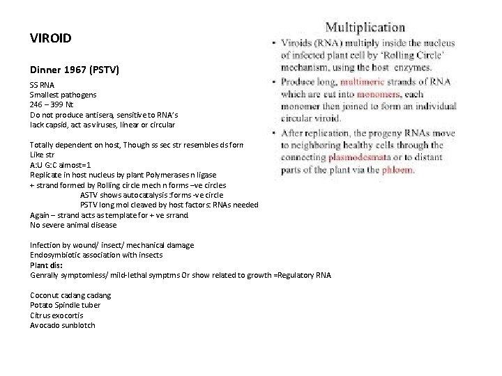 VIROID Dinner 1967 (PSTV) SS RNA Smallest pathogens 246 – 399 Nt Do not