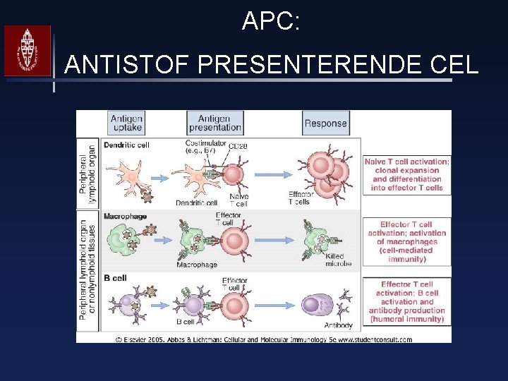 APC: ANTISTOF PRESENTERENDE CEL 