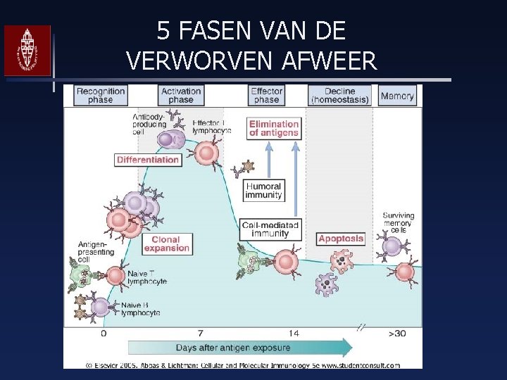 5 FASEN VAN DE VERWORVEN AFWEER 