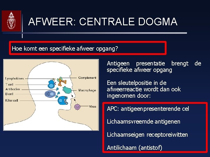 AFWEER: CENTRALE DOGMA Hoe komt een specifieke afweer opgang? Antigeen presentatie brengt specifieke afweer