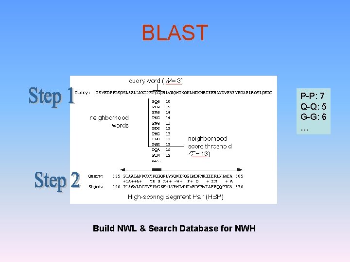 BLAST P-P: 7 Q-Q: 5 G-G: 6 … Build NWL & Search Database for