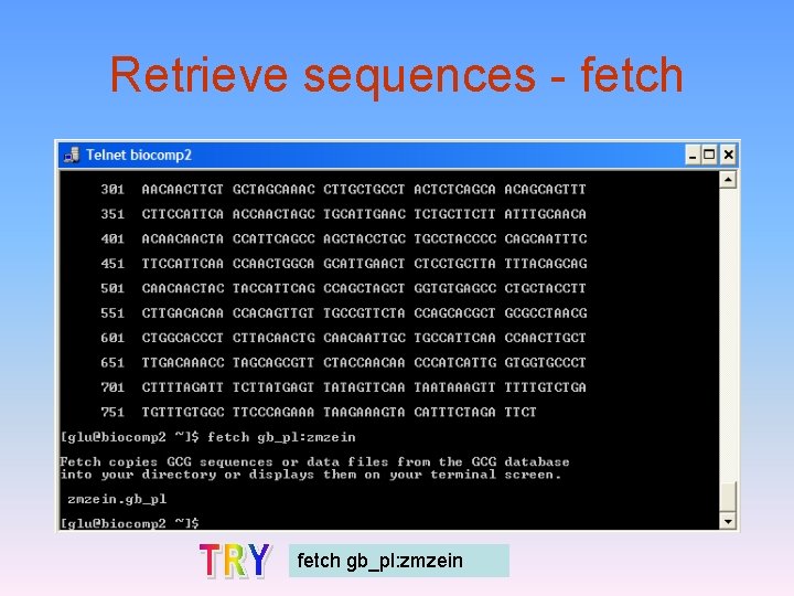 Retrieve sequences - fetch gb_pl: zmzein 