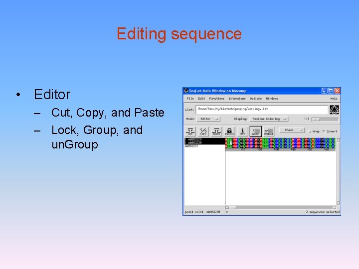 Editing sequence • Editor – Cut, Copy, and Paste – Lock, Group, and un.