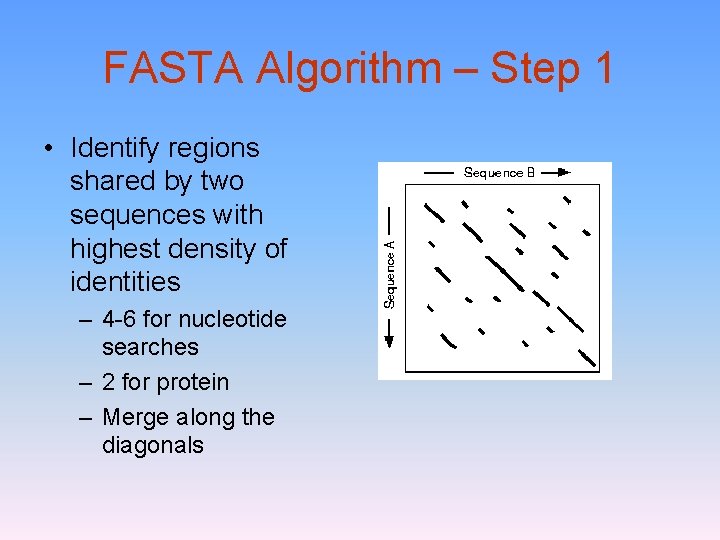 FASTA Algorithm – Step 1 • Identify regions shared by two sequences with highest