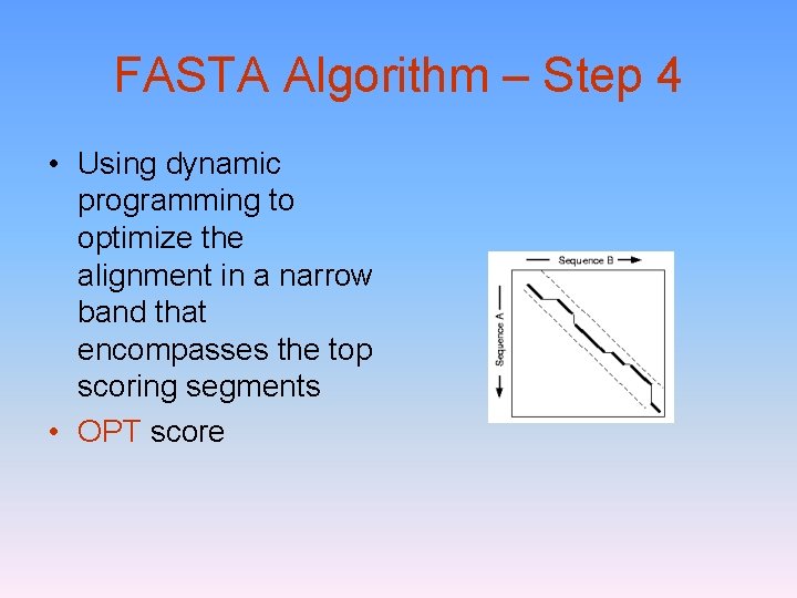 FASTA Algorithm – Step 4 • Using dynamic programming to optimize the alignment in