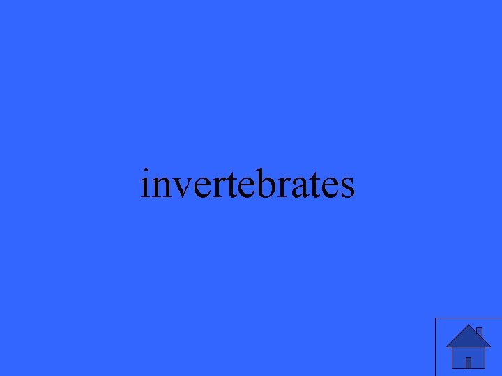 Vertebrates Classification Invertebrates Vertebrate Phyla Plants 1 Plants