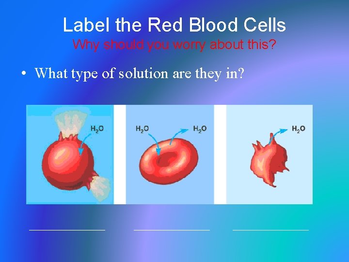 Label the Red Blood Cells Why should you worry about this? • What type