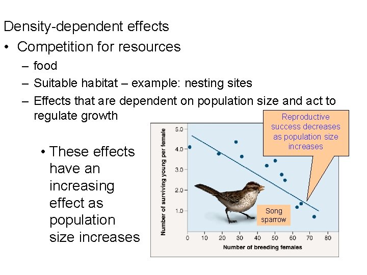 Density-dependent effects • Competition for resources – food – Suitable habitat – example: nesting