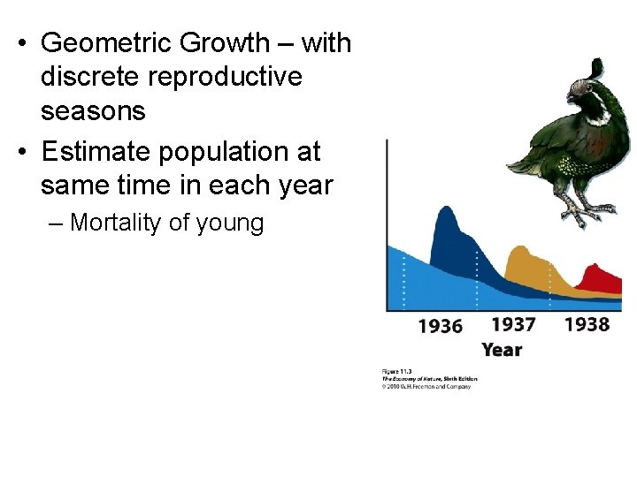  • Geometric Growth – with discrete reproductive seasons • Estimate population at same