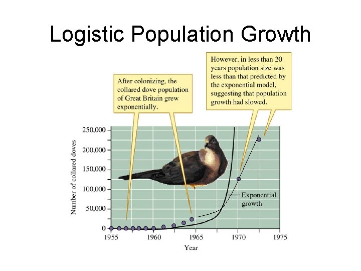 Logistic Population Growth 