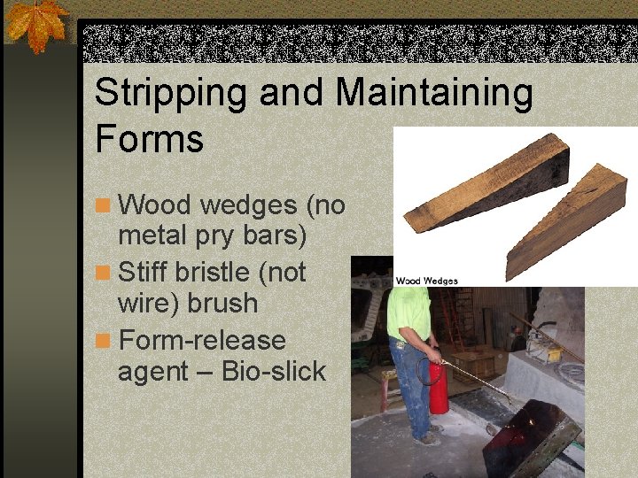 Stripping and Maintaining Forms n Wood wedges (no metal pry bars) n Stiff bristle
