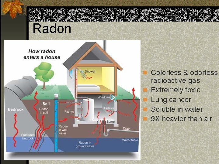 Radon n Colorless & odorless n n radioactive gas Extremely toxic Lung cancer Soluble