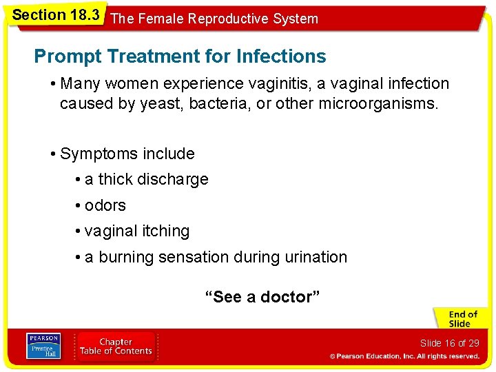 Section 18. 3 The Female Reproductive System Prompt Treatment for Infections • Many women