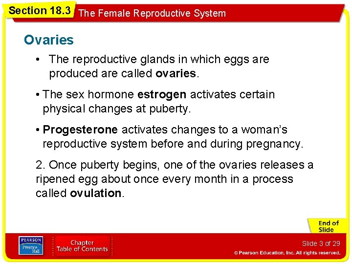 Section 18. 3 The Female Reproductive System Ovaries • The reproductive glands in which