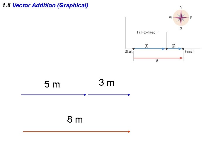 1. 6 Vector Addition (Graphical) 3 m 5 m 8 m 