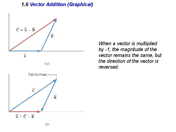 1. 6 Vector Addition (Graphical) When a vector is multiplied by -1, the magnitude