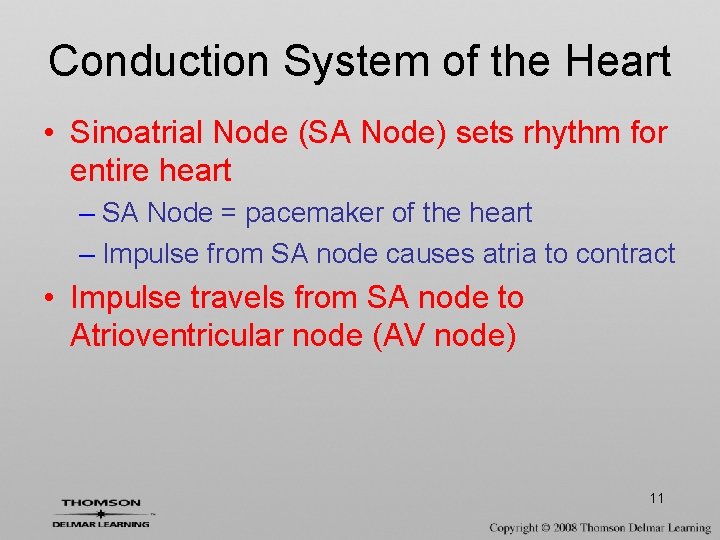 Conduction System of the Heart • Sinoatrial Node (SA Node) sets rhythm for entire