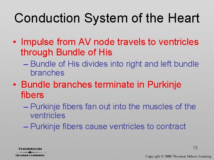 Conduction System of the Heart • Impulse from AV node travels to ventricles through