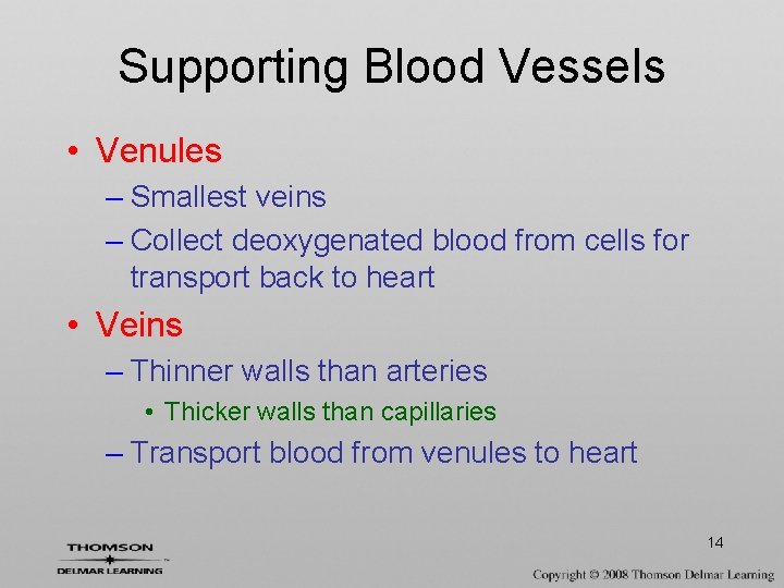 Supporting Blood Vessels • Venules – Smallest veins – Collect deoxygenated blood from cells