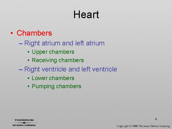 Heart • Chambers – Right atrium and left atrium • Upper chambers • Receiving