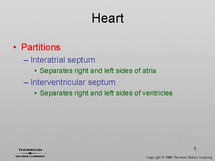 Heart • Partitions – Interatrial septum • Separates right and left sides of atria
