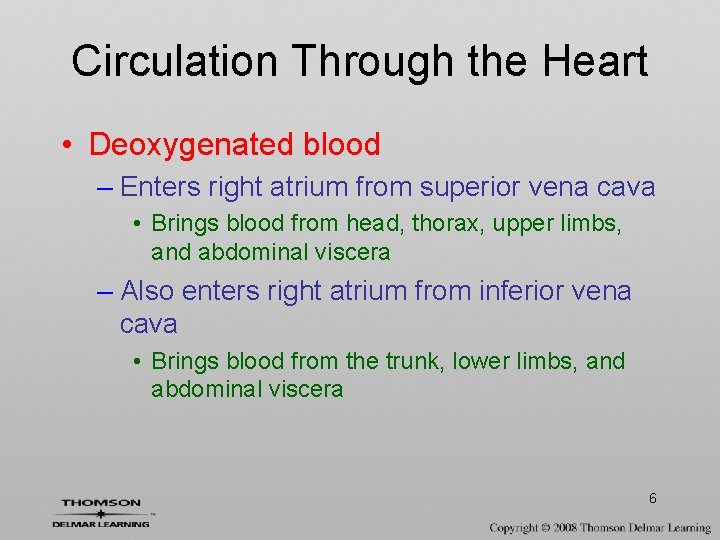 Circulation Through the Heart • Deoxygenated blood – Enters right atrium from superior vena