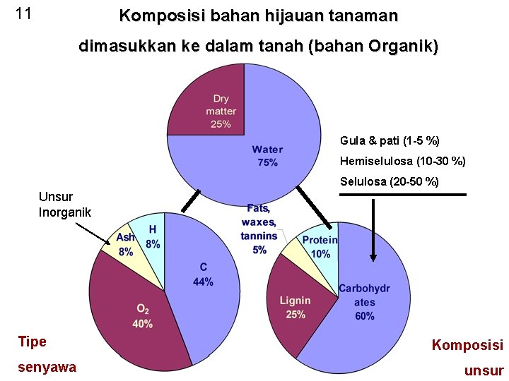 11 Komposisi bahan hijauan tanaman dimasukkan ke dalam tanah (bahan Organik) Gula & pati