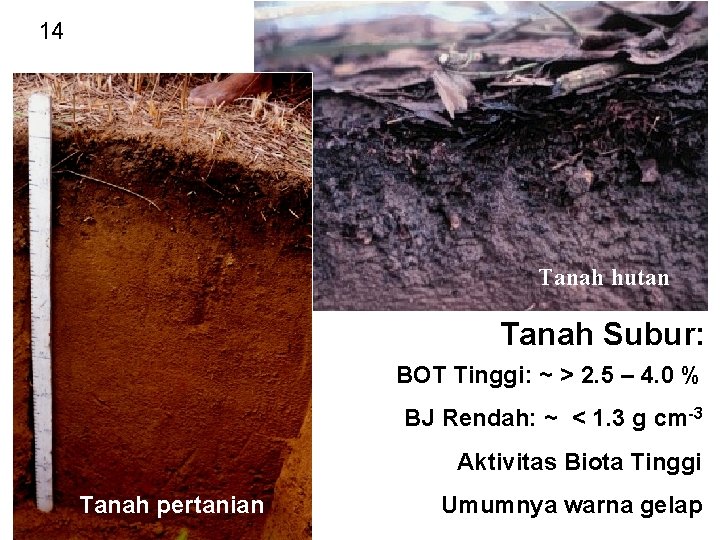 14 Tanah hutan Tanah Subur: BOT Tinggi: ~ > 2. 5 – 4. 0