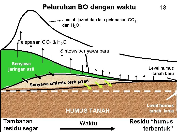 Peluruhan BO dengan waktu 18 Jumlah jazad dan laju pelepasan CO 2 dan H