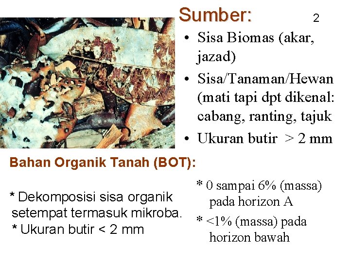 Sumber: 2 • Sisa Biomas (akar, jazad) • Sisa/Tanaman/Hewan (mati tapi dpt dikenal: cabang,