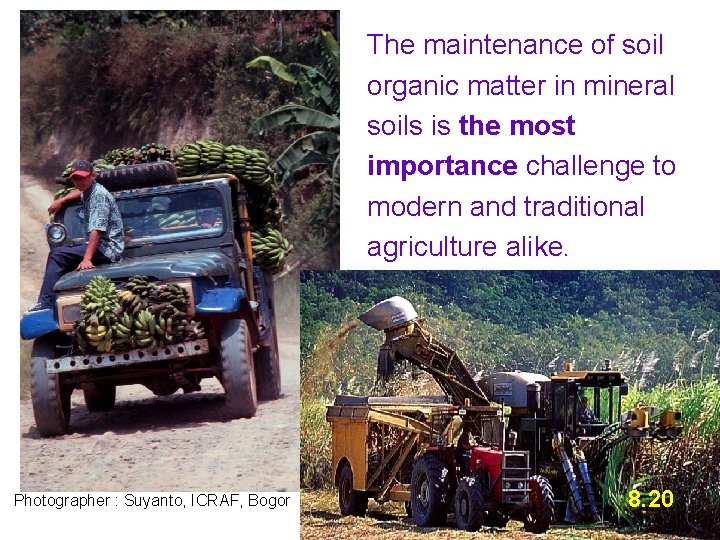 The maintenance of soil organic matter in mineral soils is the most importance challenge