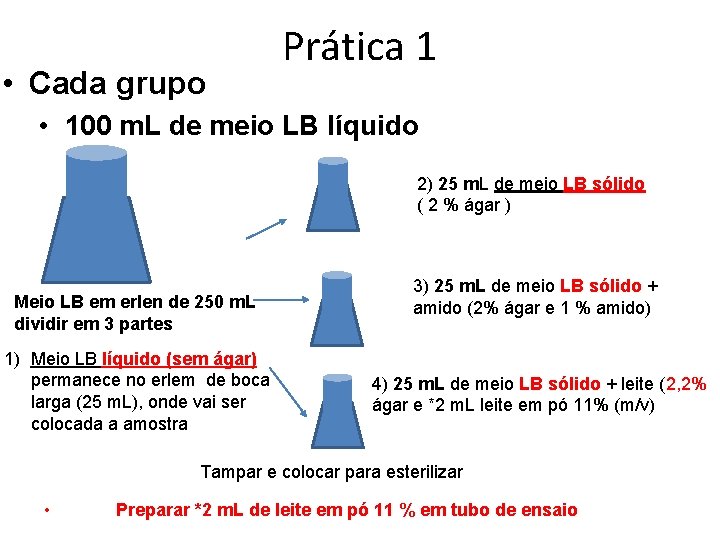  • Cada grupo Prática 1 • 100 m. L de meio LB líquido