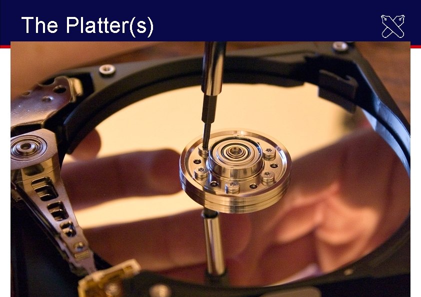 The Platter(s) 